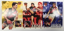 1996 SELECT AFL SERIES 1 ALL AUSTRALIAN TEAM CARD FULL TEAM SET-ESSENDON (3)