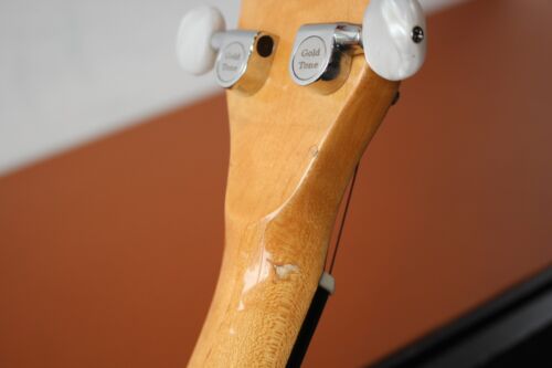 Gold Tone CC-100 Open back 5-String Banjo - Picture 19 of 21