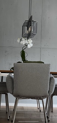 6 Esszimmer Stühle ( 1 Satz ) von Venjakop Hellgrau Meliert Top Zustand - Bild 4 von 7