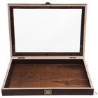 Insektenproben -Anzeigefall -Probe Schutzhülle Holzanzeigebox