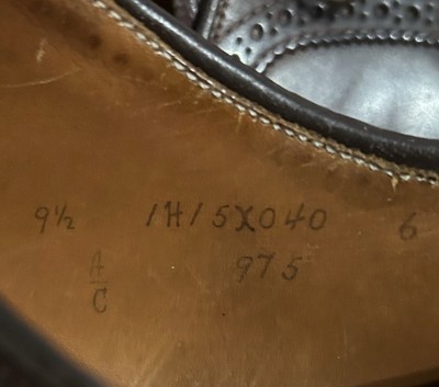 Alden Long Wing Blucher