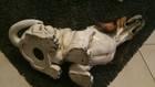Bild 6 von 6