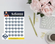 Tampa Bay Rays Planner Stickers