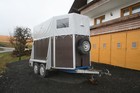 Bild 11 von 11