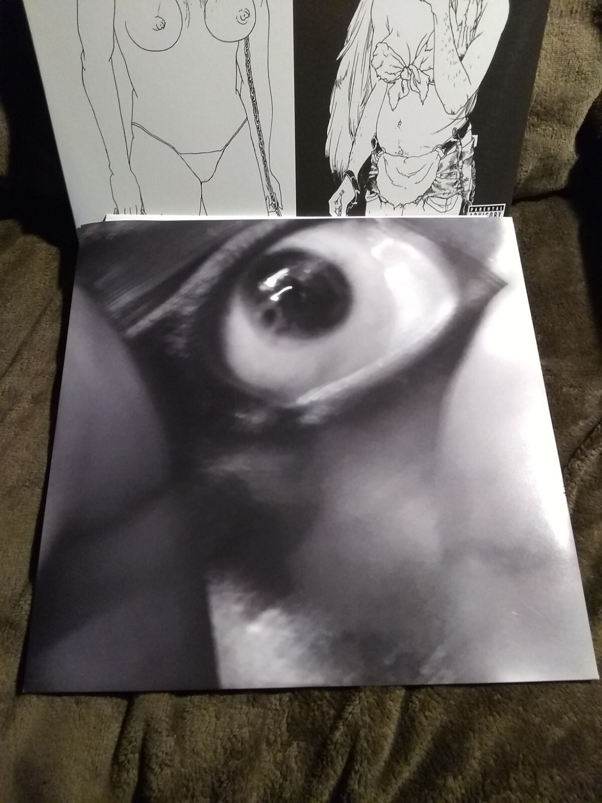 Picture 5 of 8