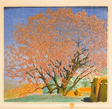 Gustave Baumann : Cottonwood Tassels : Archival Art Print