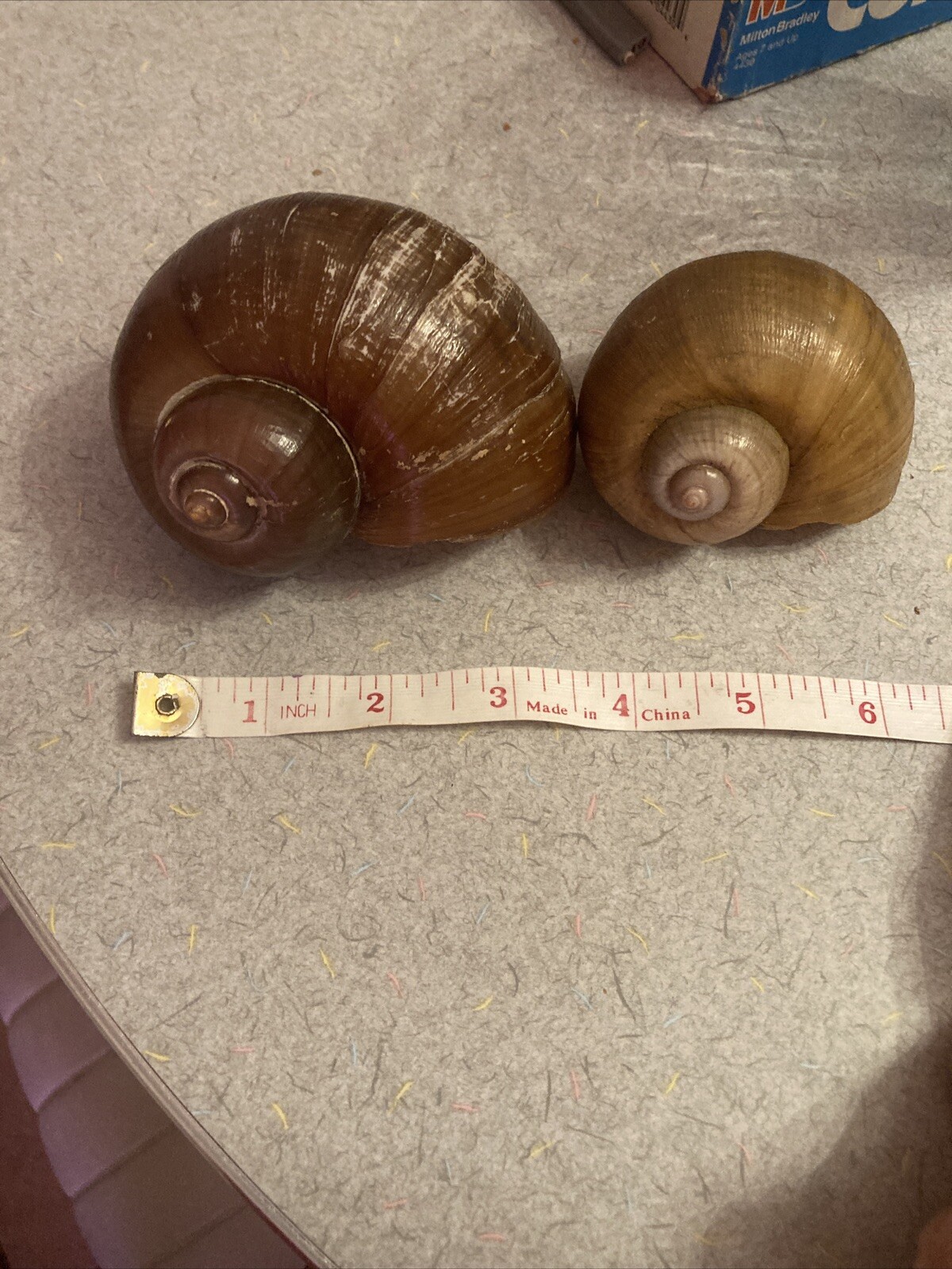 Picture 5 of 7
