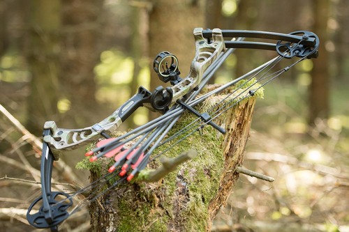 [SPECIAL] DRAKE Gecko RTS - 30-55 lbs - Compoundbogen - Bild 2 von 48