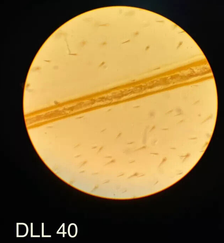 Nikon DLL 10, DLL 20, DLL 40, HI DLL 100 Objective set - Picture 5 of 12