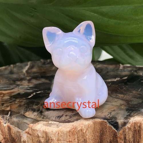 Wholesale Natural Dog Skull Quartz Crystal Skull Reiki Healing - Picture 6 of 17