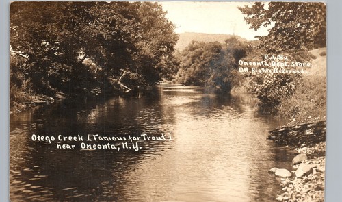 OTEGO TROUT CREEK c1910 oneonta ny real photo postcard rppc new york history