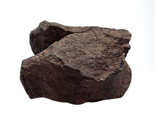 Tenontosaurus Vertebrae - Picture 3 of 6