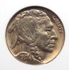 1938 "D" Indian Head BUFFALO Nickel 5c ANACS MS66 #673 Gem BU *SOAPBOX* ECC&C