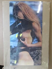 PENTHPOUSE PET 'ABA'  VINTAGE POSTER BAR GARAGE MAN CAVE 1970' HOT GIRL CNG3467