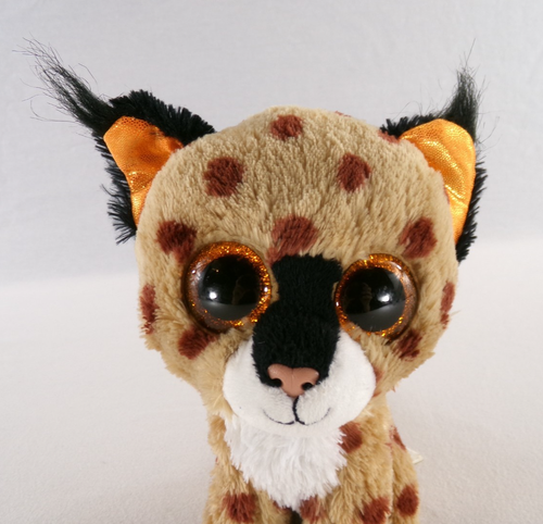 TY BEANIE BOOS BUCKWHEAT THE LYNX CAT 7" PLUSH ANIMAL - 2020 - NO HEART TAG-EUC - Bild 4 von 14