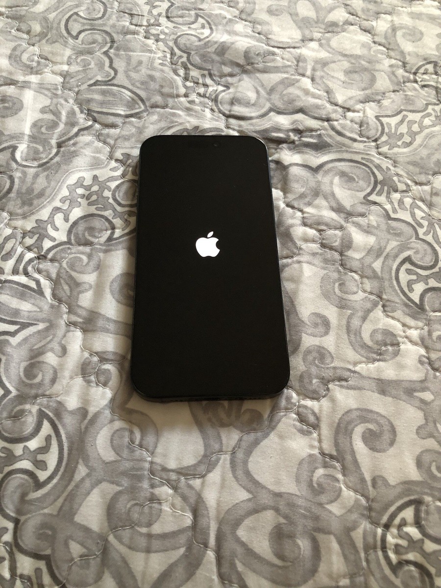 Apple iPhone 15 Pro Max - 256 GB - Black Titanium (Unlocked