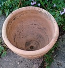 Picture 2 of 4