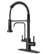 Black Kitchen Faucet with Purfied Water Filter, Pull Down Sprayer