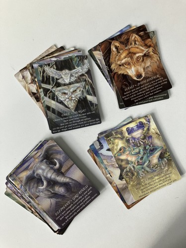 Spirit Of The Animals Oracle Cards 51 Tarot By Jody Bergsma - New - Bild 3 von 6