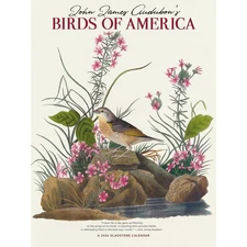 Carousel Calendars,  Audubon Birds of America 2026 Wall Calendar, 12'' X 12'', 1