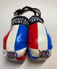 Dominican Republic Hanging Mini Boxing Gloves...