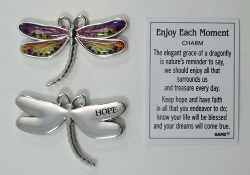 H1 Hope ENJOY EACH MOMENT DRAGONFLY Pocket token charm Ganz keep hope every day - Picture 1 of 5