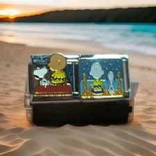 Snoopy Charlie Italian Charm Set Of TWO Stainless Steel Enamel 9MM