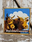VINTAGE CATTLE PORCELAIN SIGN OLD RANCH COW REGISTERED GUERNSEY WESTERN FARM 12"