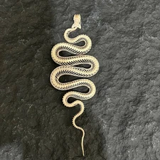 Animal Taxidermy Real Snake Skeleton bone Skull Animal Specimens 