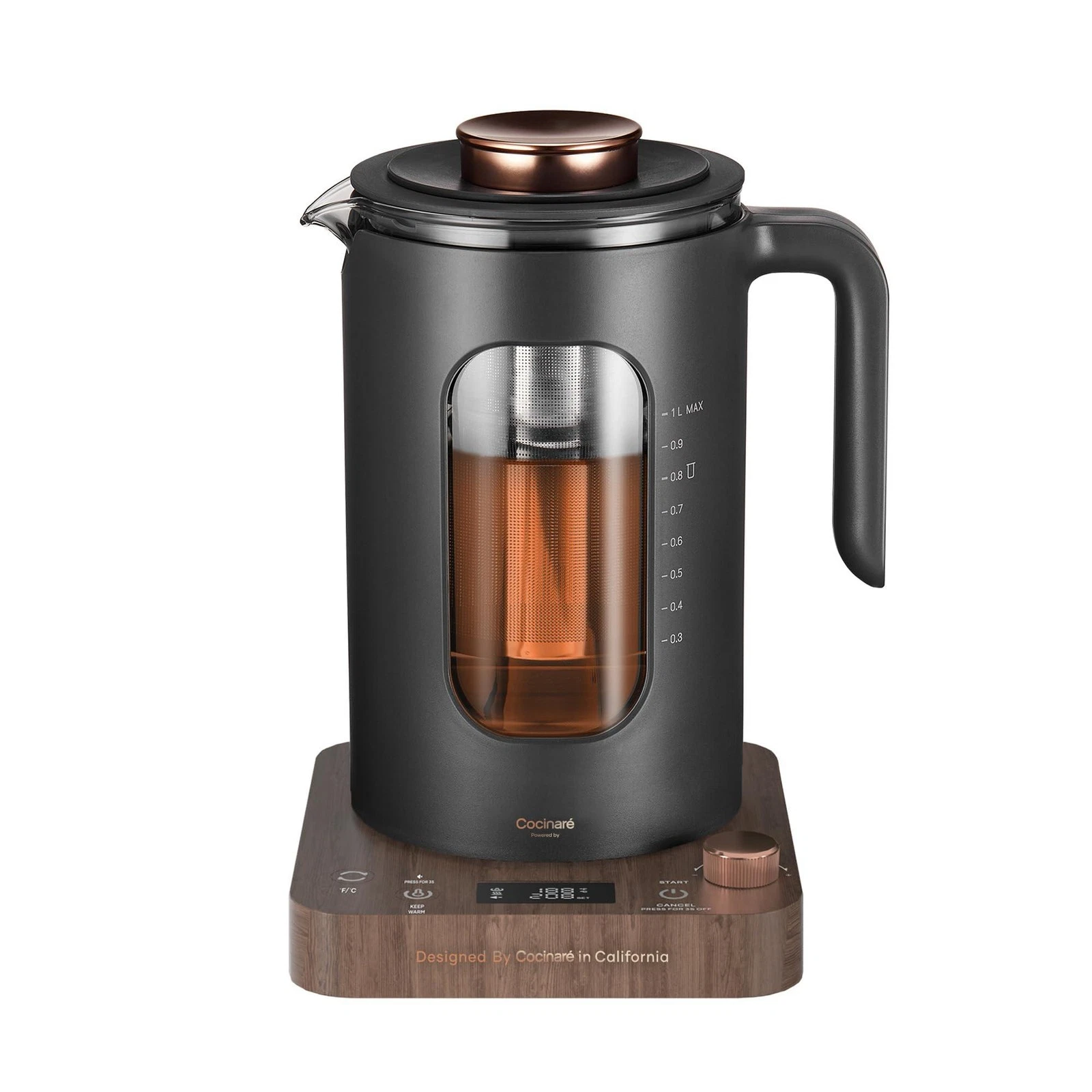 Electric Tea Kettle, INTASTING Glass Electric Kettle with tea Infuser and Precis