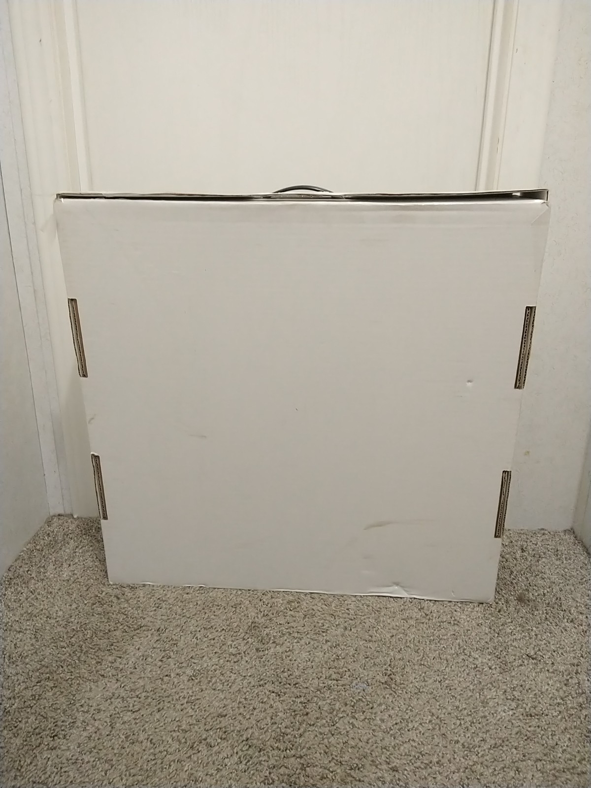 Picture 13 of 13