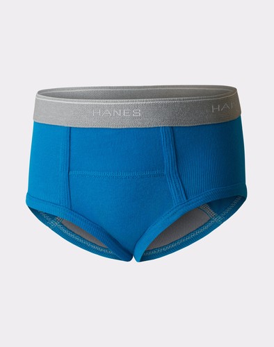 Hanes Potty Trainer Briefs 6-Pack Toddler Boy Moisture Wicking sz 2/3 4 Assorted - Picture 4 of 9