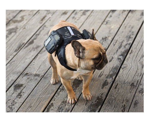 Pet Dog Saddle Bag for Small Dog W Self-Supporting Bag Adjustable Straps - Picture 5 of 7