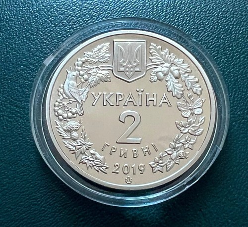 Ucraina 2 grivne 2019 L'aquila dalla coda bianca - Foto 2 di 2