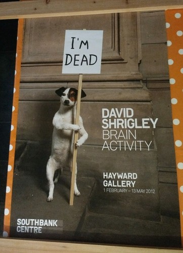 DAVID SHRIGLEY, "Brain Activity" Ausstellungsplakat, Hayward Gallery, 2012. 👍 - Bild 8 von 9