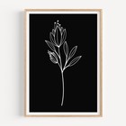 Flower Botanical Floral Art Decor Poster Print - FLA351