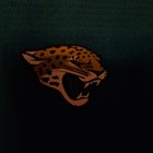 Picture 3 of 11