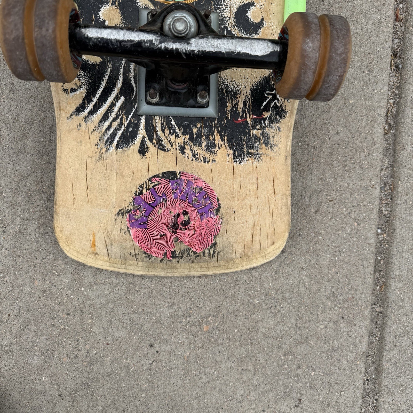 Picture 4 of 15