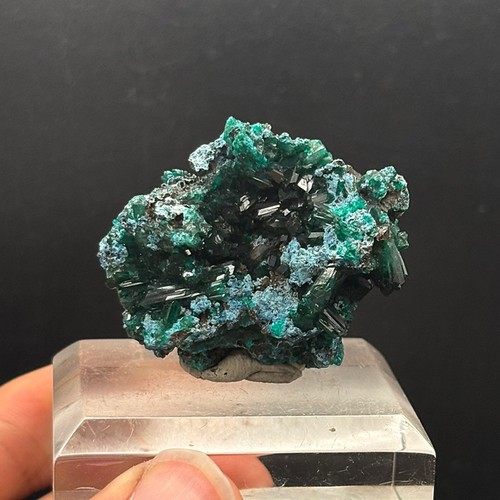 DIOPTASE - Reneville - Republic of Congo AX74 - Picture 3 of 7