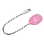 Lampe de Lecture LED Col de Cygne Flexible USB pour Ordinateur Portable PC Rose