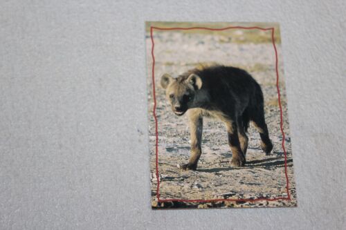 Skybox The Lion King Trading Card Complete Finish Fill Your List Set U-Pick - Picture 67 of 79
