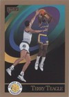 1990-91 Skybox - Terry Teagle #102