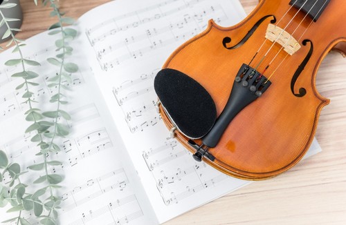 Foam Violin Chin Rest Pad with Adhesive Backing for Full Size 4/4 - Picture 3 of 9