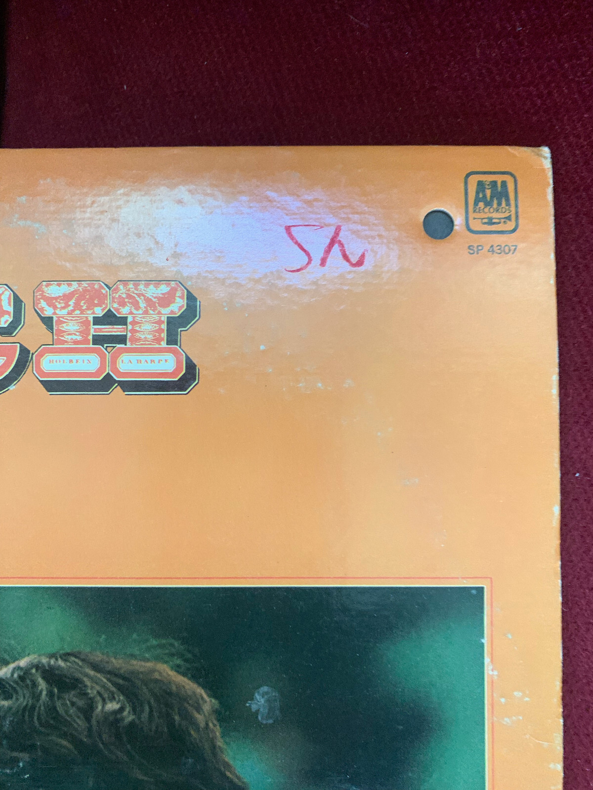 LOT - Rare Rock Vinyl - Ronin, Punch, Lost Gonzo Band SRM13832, A&M4307, SW11788