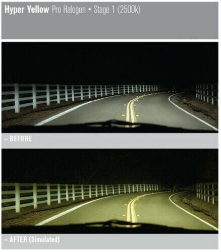 Nokya 2500K Giallo H1 Nok7617 55W Due Lampadine Testa Luce Basso Fascio Ricambio - Picture 6 of 12