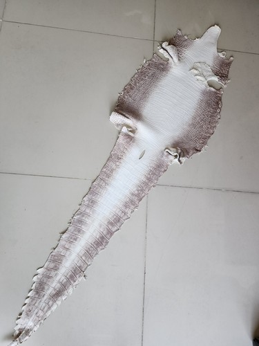 Himalayan Embossed eather Hide Skin Fur Pelt Taxidermy - Handmade - Picture 10 of 16