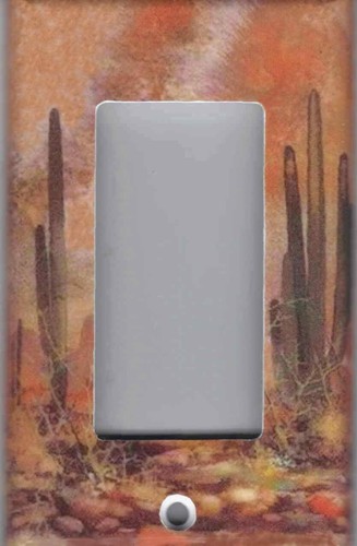 DESIERTO DEL SUROESTE CON CACTUS HOGAR DECORACIÓN PARED LUZ INTERRUPTOR PLACAS Y ENCHUFES - Imagen 11 de 30