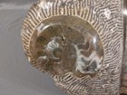 Picture 4 of 12