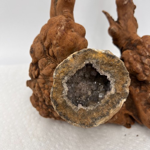 Vintage Burl Wood With Sliced Geode Art Crystal Raw Exotic Organic Nature 8" - Picture 6 of 16