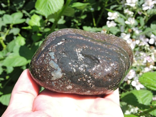 2 ODD Rhyolite Nodule Stones. Agate Galaxy & Conglomerate Rock (2 pounds+ TOTAL) - Picture 4 of 24